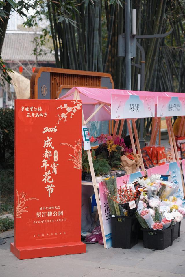 赏梅、逛集市、观看汉服巡游……望江楼公园文旅活动持续点燃春日赏花经济