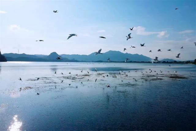 市县人大“得意之笔”·桂林｜“福寿胜境”背后的人大力量