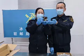 冰城海关首次截获濒危蝴蝶标本图片