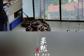 南昌多人被大风吹落坠亡，为何会出现这场毁灭性的“天灾”？气象科普博主：事发楼层属于高层，风力变得更强，威力相当于强台风登陆，落地窗、玻璃幕墙可能因突然的气压差变化导致爆裂图片