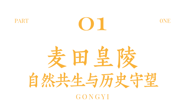 河南最人杰地灵的小城，活在郑州洛阳阴影下