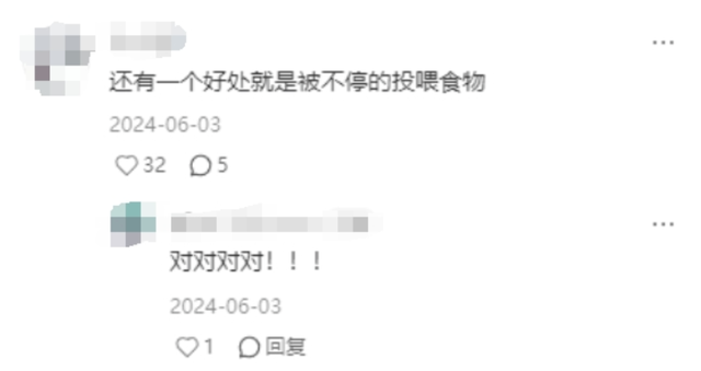 第一批混进老年徒步团的人，已经「进骨科」了