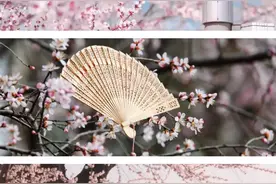 京城桃花季已至，你最想奔赴哪处？图片