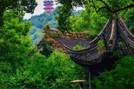 看花，逛吃，漫游，寻缘，文化……“五一”逛无锡，扬子晚报“特供”的“指南”请查收图片