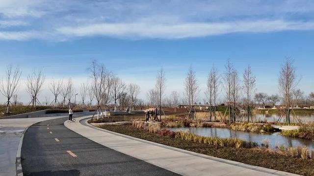 首善答卷·幸福新图景5|城市风轮转动绿色出行：走进朝阳坝河慢行绿道