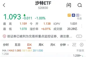 跨境ETF集体冲高回落，业内专家：不要盲目投资图片