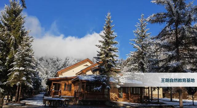 青睐绵阳 ‖ 彩林未尽,大雪已至!初冬的平武美成水墨画卷~