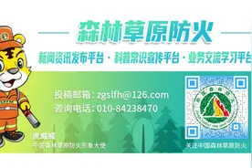威聚焦丨江苏森林防火宣传月启动图片
