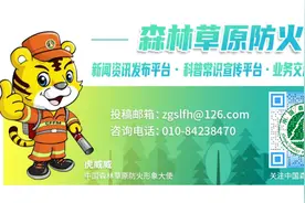 威聚焦丨科技赋能绿色屏障 重庆森林防火工作的智慧转型图片