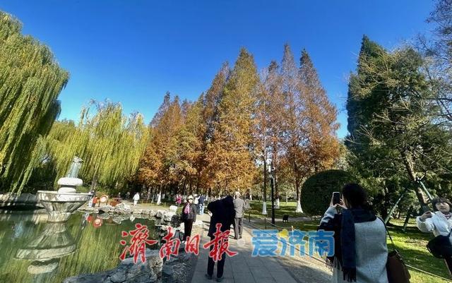 一年四季 泉在济南丨落叶绘“萌鹿”  济南五龙潭打卡冬日限定浪漫