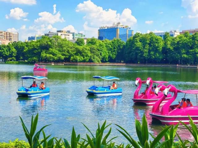 流花湖上线新玩法！缤纷游船带你解锁秋日浪漫