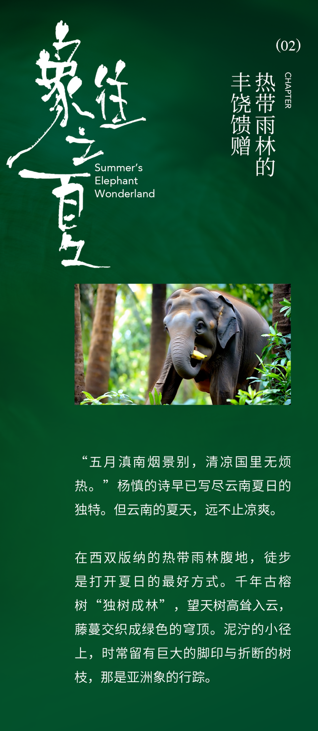 中国“旅居”天花板，为什么还得是云南？