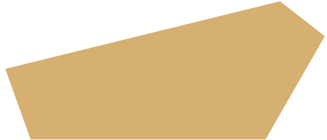 万羽齐飞！鄱阳湖观鸟季拉开序幕