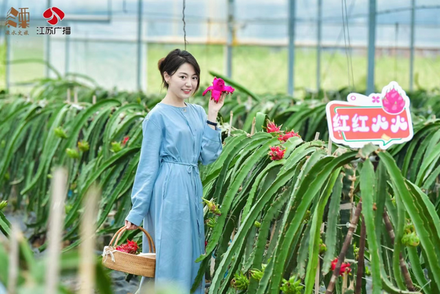 溧水赏秋指南，这周末就出发！