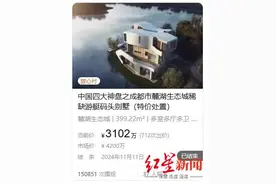神秘买家3102万拍得成都麓湖“特价别墅”！但或许并未“捡漏”图片