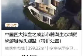 神秘买家3102万拍得成都麓湖“特价别墅”！但或许并未“捡漏”图片