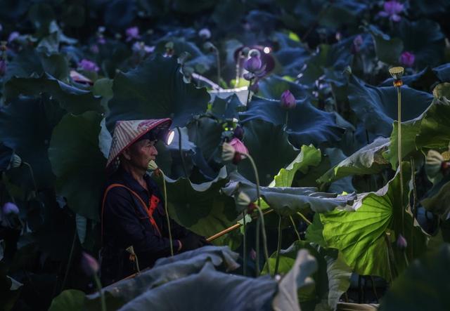 川观夜读丨让“小神兽”乐享暑假；赛里木湖迎来暑期旅游旺季；美国“恶魔岛”一瞥