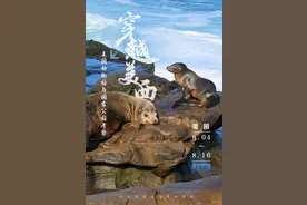 穿越美西——美国动物园与国家公园考察｜活动报名图片