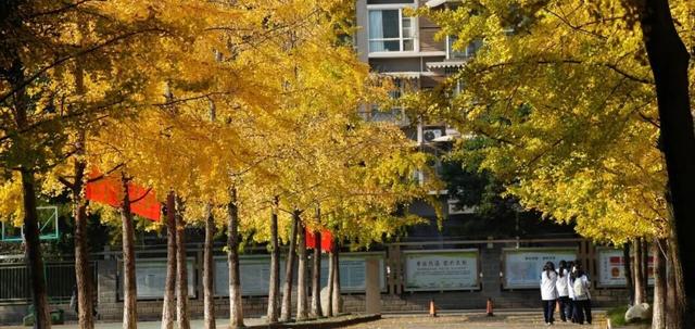 超美！大邑人的顶流来了