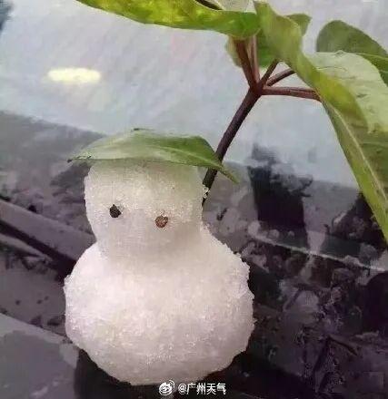 广州下雪十周年!今天,初雪“再现”