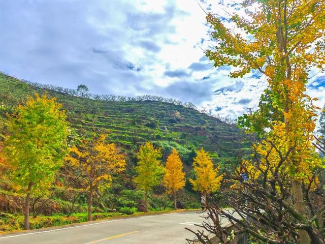 信宜这条“黄金走廊”很出片