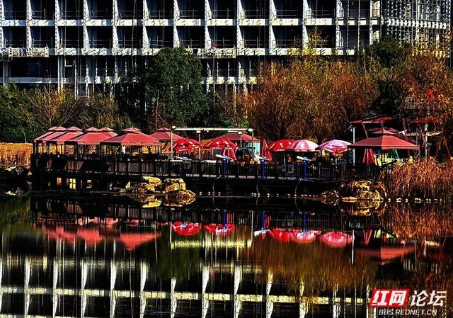 漫步神农湖：在城市的喧嚣边缘，寻一方安宁