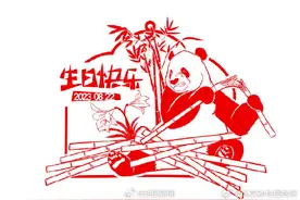 生日快乐！萌大萌二两兄弟10岁了图片