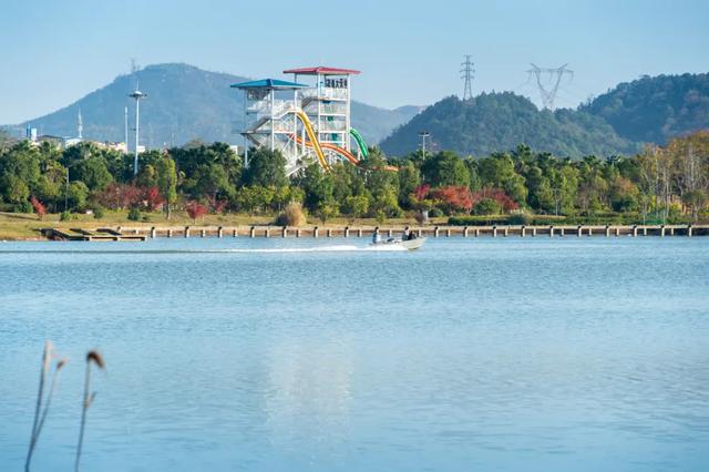 @0731，一组绿心秋色卡，请查收！