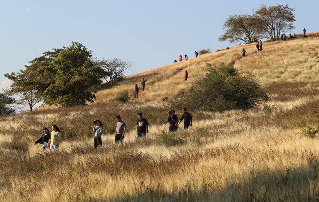 暖游玉溪元江体验“中国萨王纳”的旷野魅力