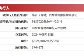 高合汽车销售公司被执行逾374万图片