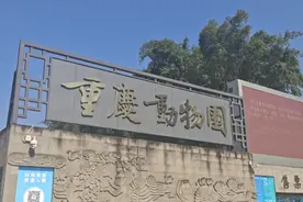 微博大V吐槽重庆动物园为“最偏心动物园” 园方：问题已知晓，正在处理图片
