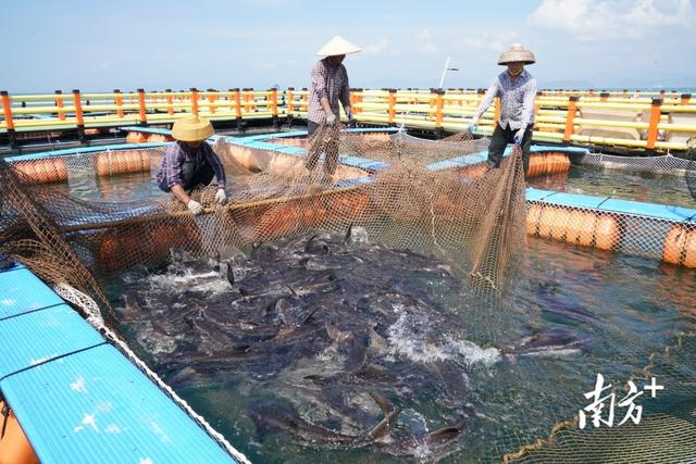 “骑”乐融融！海峡两岸同胞在汕尾开启文化寻根之旅