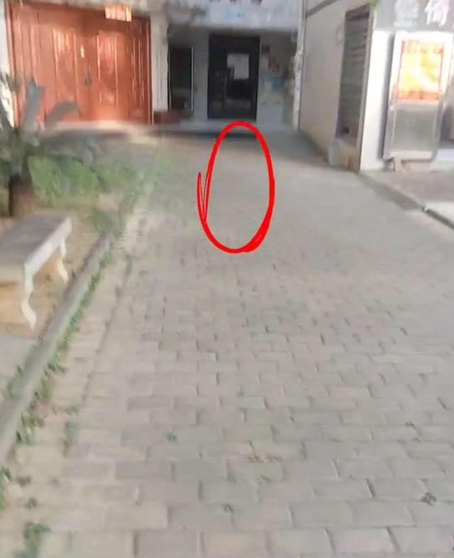 与同学起冲突后被建议休学，14岁男生跳楼身亡 法院判学校担责15%	，家属上诉