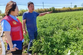 “80后”种植大户李春三的致富经：敢干实干巧干图片
