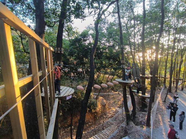 风穿林叶绳渡树间 龙岗园山这片营地邀您体验“飞檐走壁”