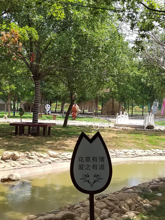 “山东邂逅美”摄影大赛｜相约古薛露营基地 赴一场文化与自然盛宴