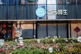 战略聚焦，盒马找准了发展方向图片