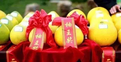 青睐绵阳 ‖ 11月8日—9日!梓潼天宝蜜柚采摘季活动来袭,竞技+亲子玩法承包你的快乐!