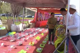 安徽商户十年“赶花朝”，小生意做成“大项目”图片