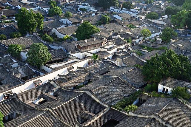 时政微观察丨建设人民城市，致广大而尽精微