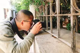 10年拍下约10万张猫片！他大概是最会拍猫的摄影师了图片