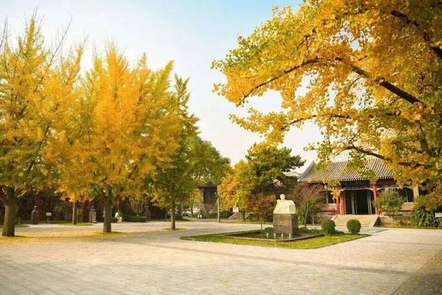 北京的秋天，请约我去散步