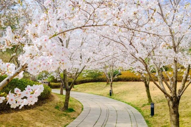 接下来的日照，是这样的…