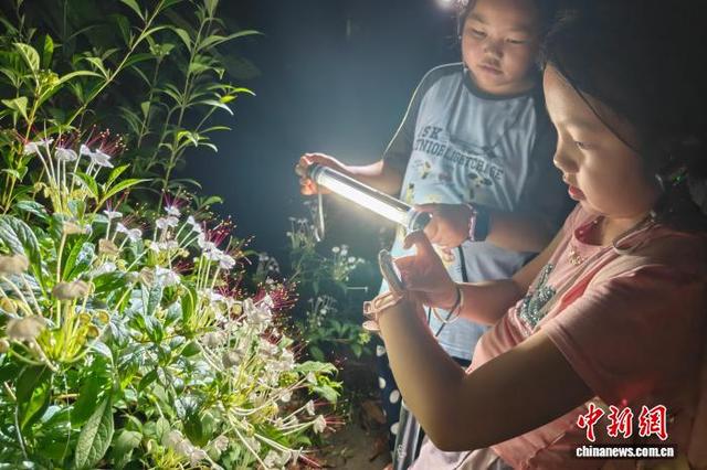 中国科学院西双版纳热带植物园探寻雨林奇妙夜