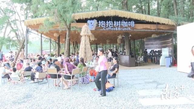 旅游收入比增15%，阳东暑期滨海游“成绩单”亮眼