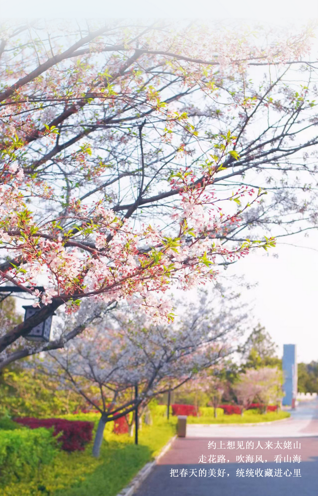 别辜负春天！4月宁德1景区进入颜值巅峰！快来赏花~