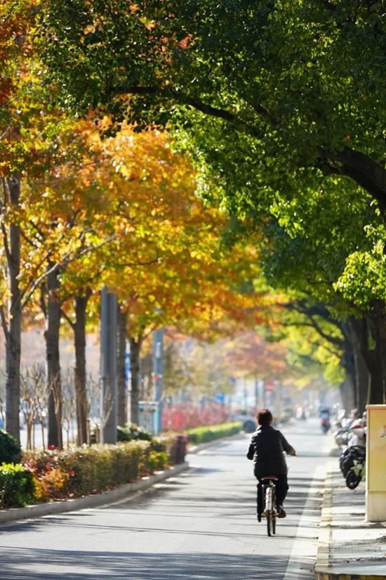 金山这些地方不小心被“曝光”了！