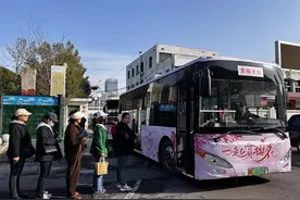 武汉江夏开通赏花专线，北华街直达青春村樱花园图片
