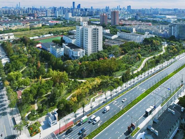 此时的桃浦，已经美成这样了……