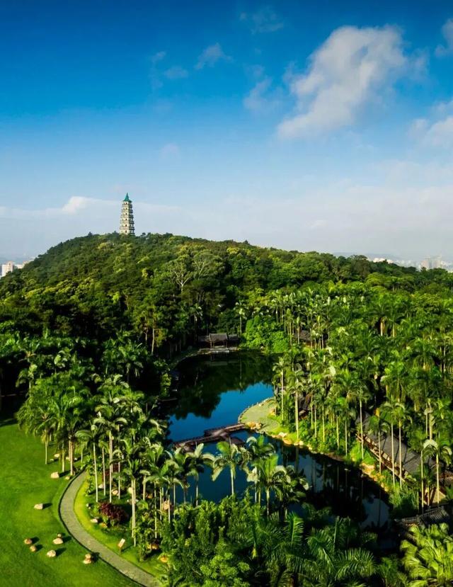 跟着邕BA游南宁！解锁“白天打卡、晚上观赛”的打卡全指南